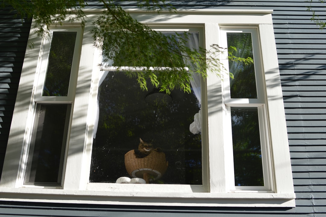 White window, pot, and foliage reflections on a grey building.